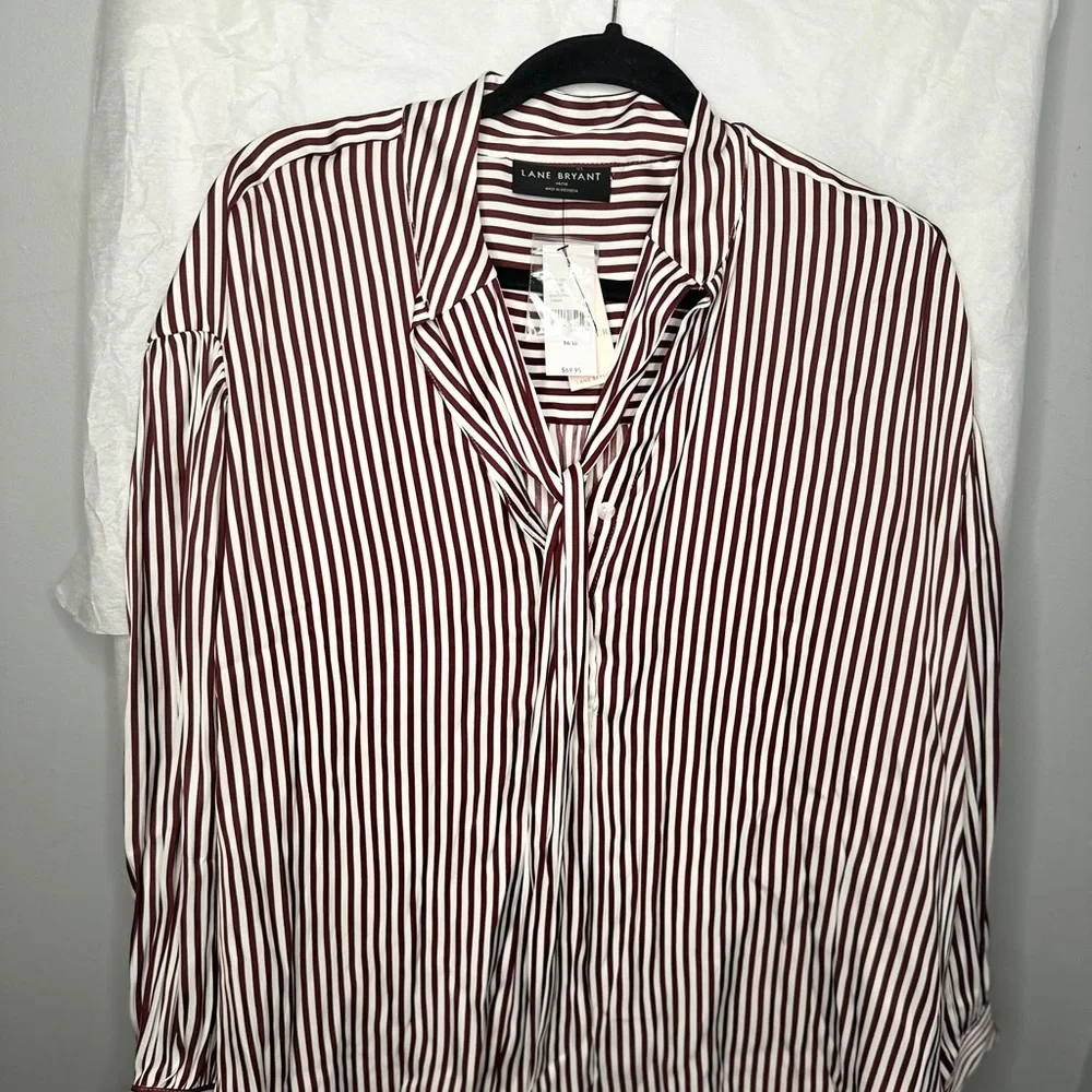 Lane Bryant Long Sleeve Striped Blouse - Picture 4 of 4